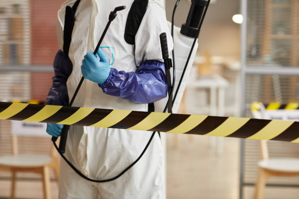 Professional Blood Cleanup technician working in Marathon, FL